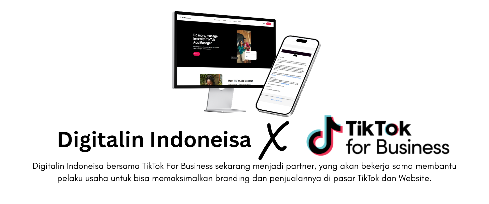 Head Banner Website